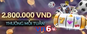 vn6