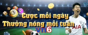 vn6